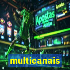 multicanais palmeiras x botafogo